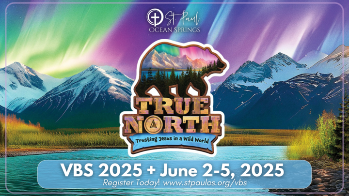 VBS 2025 logo