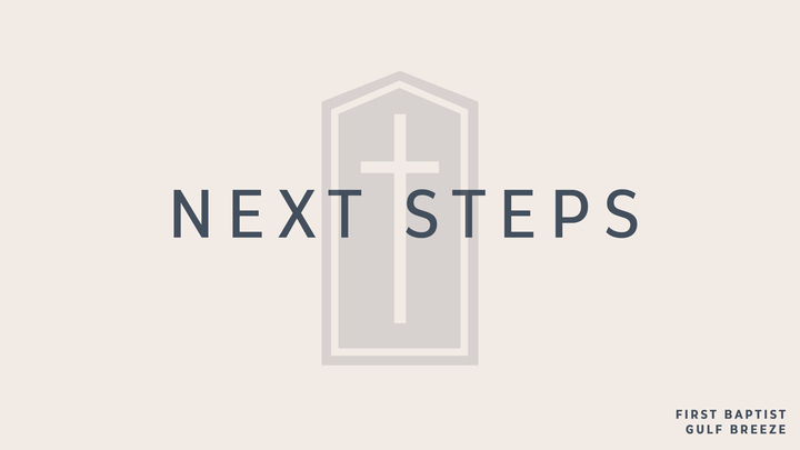 Next Steps logo