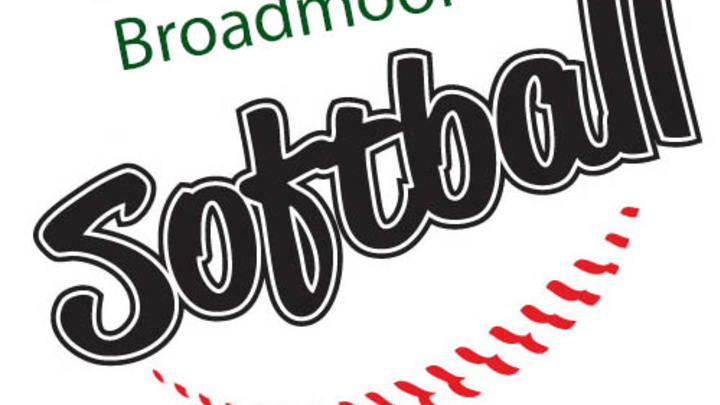 2019 Fall Men's Softball Leagues logo image