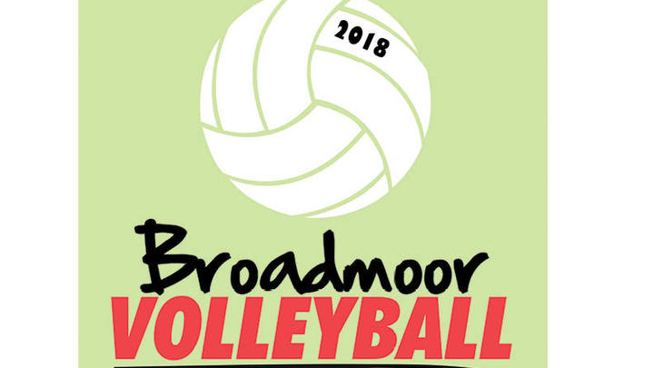 2019 Fall Coed Volleyball League logo image