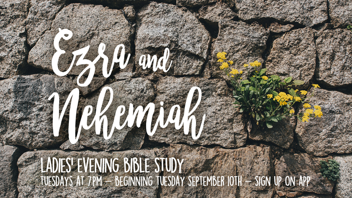 Ladies Bible Study (Ezra Nehemiah) logo image