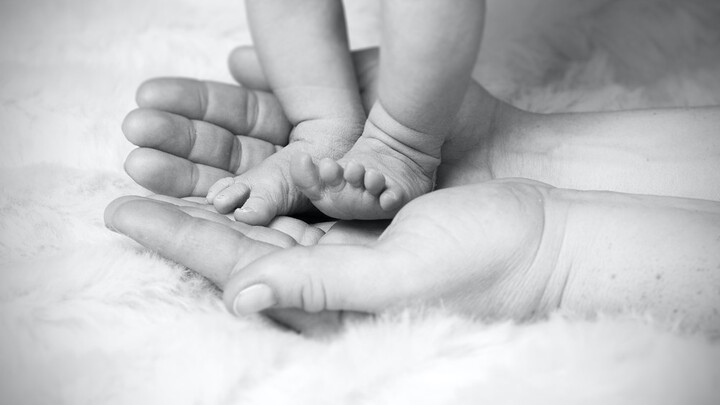FLC Baby Dedication logo