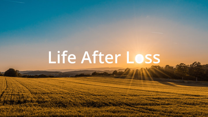 Life after Loss logo image