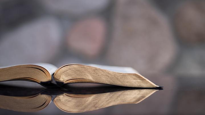Biblical Foundations logo image