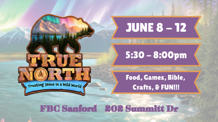 TRUE NORTH - Vacation Bible School 2025 logo
