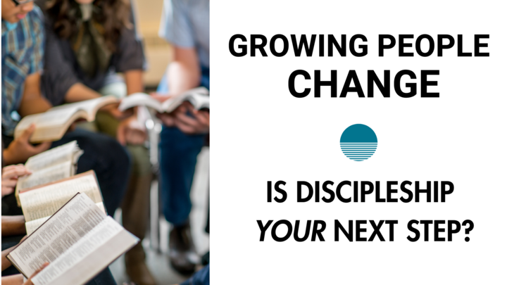 Discipleship | Next Steps logo