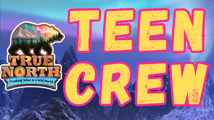 VBS 2025 Teen Crew (True North) logo