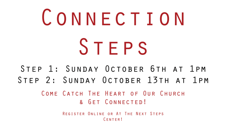 Connection Steps logo image
