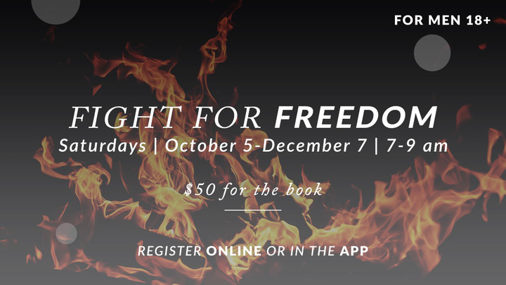 Fight for Freedom logo image