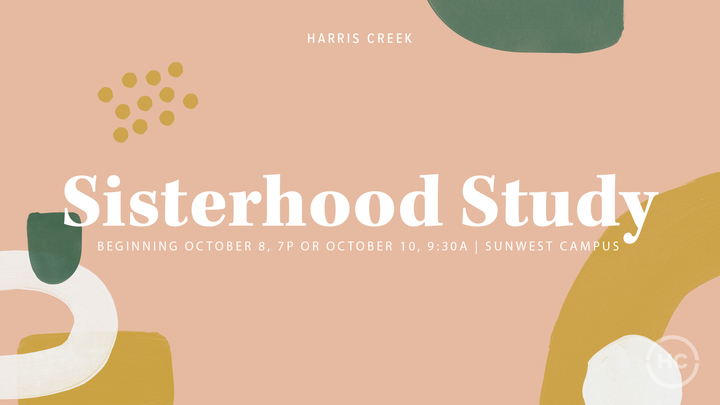 Sisterhood Study Table Leader Training logo image