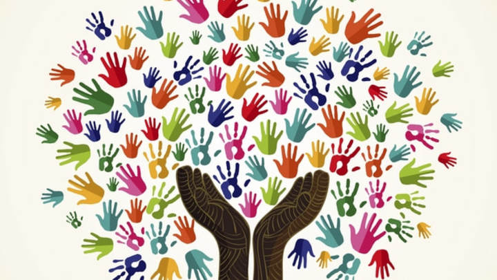 Partner's Fellowship logo image