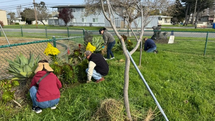 Volunteer with Alameda Point Collaborative logo