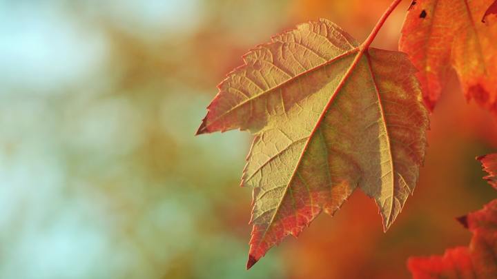 Fall Church Retreat logo image