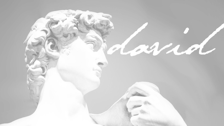 Men's Discipleship: David logo image