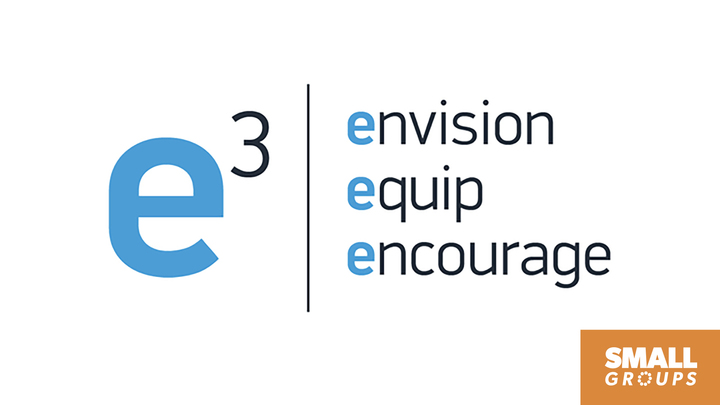 E3 June 2020 logo image