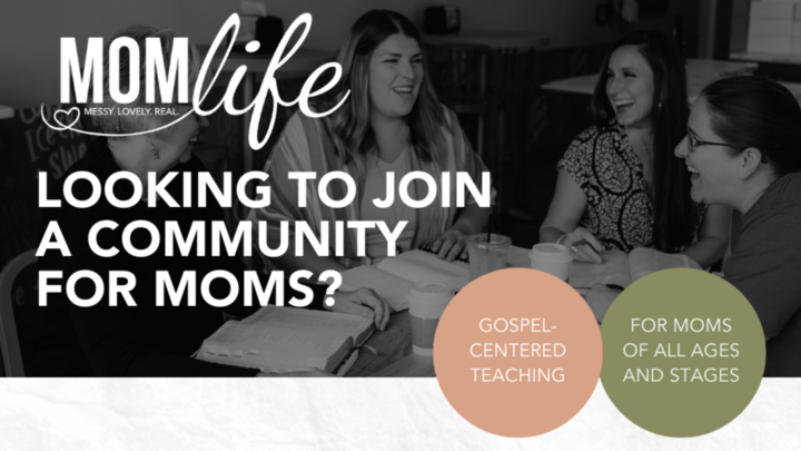 MomLife '25-'26 logo