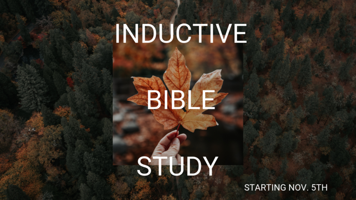 Inductive Bible Study logo image