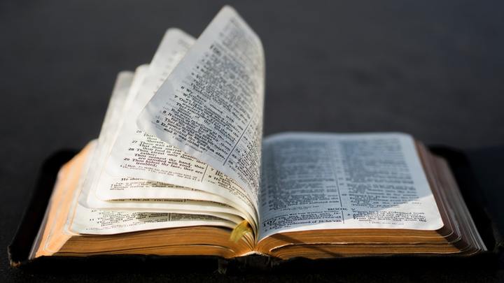 The Bible & Politics logo image