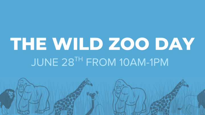 WILD Summer logo