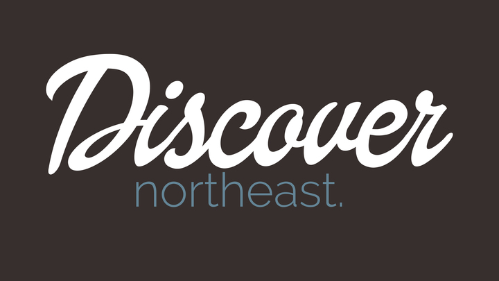 Discover Northeast logo image