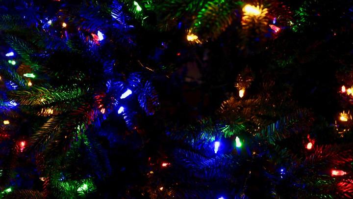 Childcare for NH Christmas Tree Rehearsals logo image