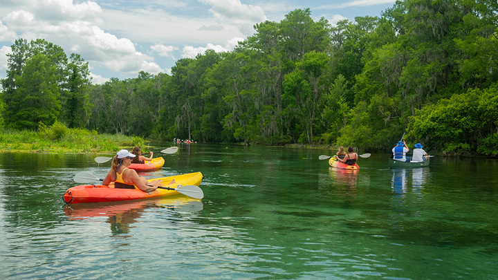 Ichetucknee Springs logo