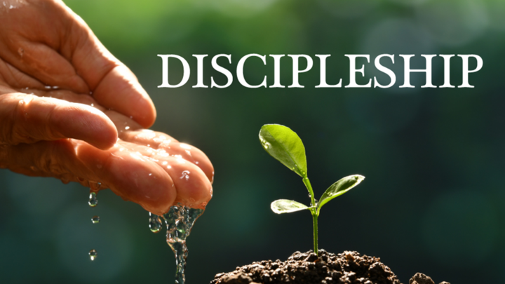 Discipleship Training logo image