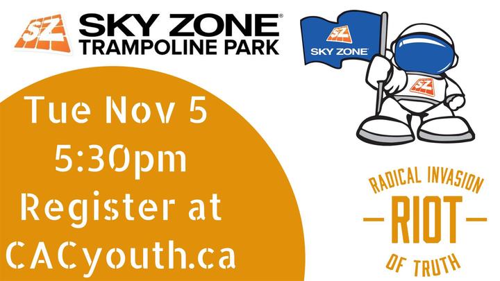 Skyzone 2019 logo image