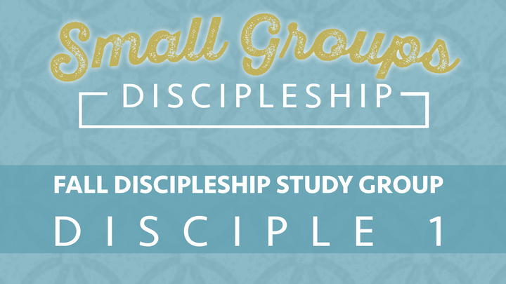 Disciple 1 logo image