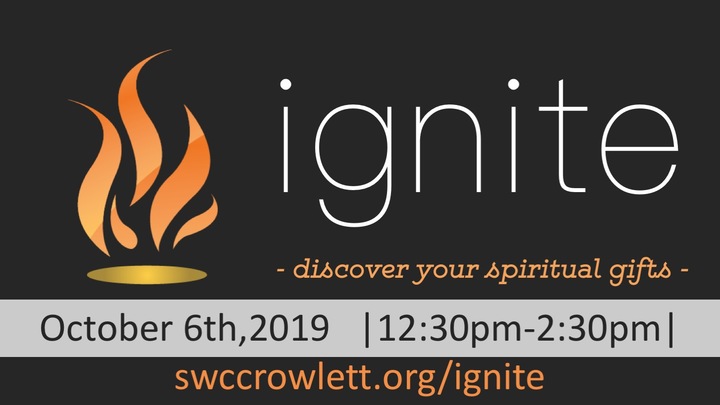 Ignite logo image