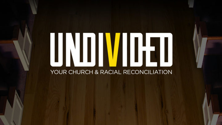 Undivided logo image