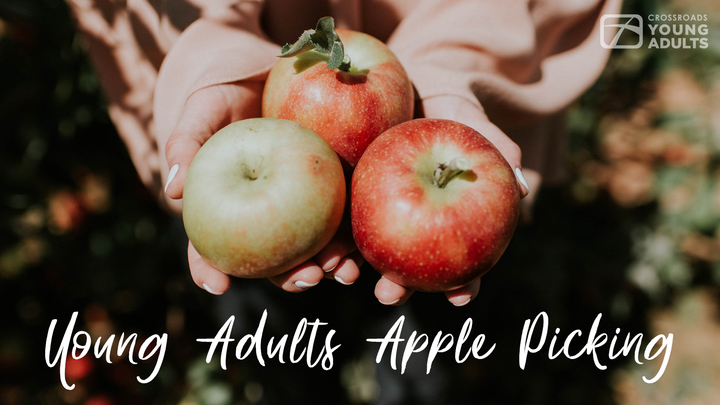 Young Adults Apple Picking logo image