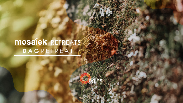 Mosaïek Dagretreat logo image