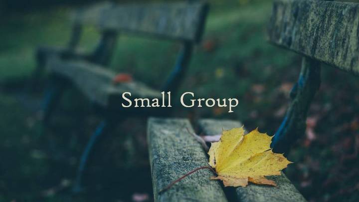 Small Group Leadership Course Wednesdays @ 7pm @ the Smiley's logo image