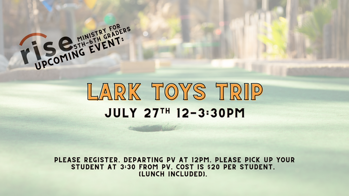 Rise Lark Toys Trip logo