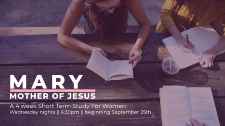 Mary, the Mother of Jesus, 4 week study logo image
