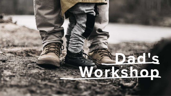 Dad's Workshop logo image