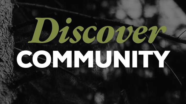 Discover Community logo