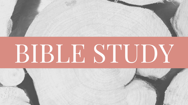 Fall Tuesday Morning Women's Bible Study Childcare | Spring Branch logo
