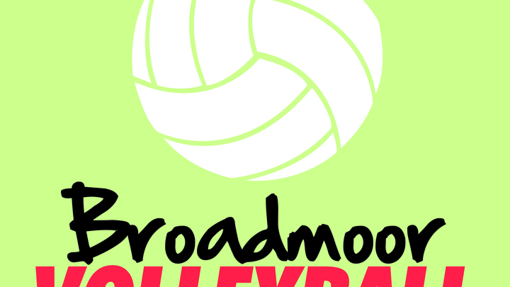 2019 Fall Coed Volleyball League logo image