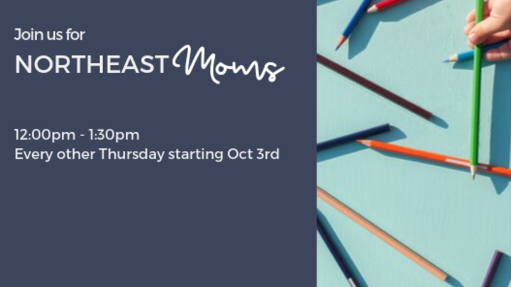 Northeast Moms logo image