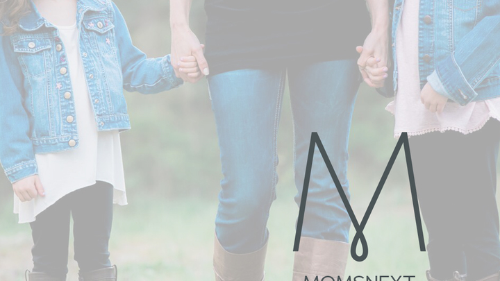 MOMSnext Childcare (fund 522) logo image
