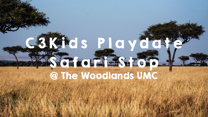 C3 Kids Play Date logo image