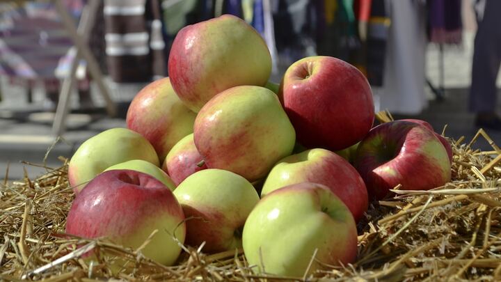 Volunteer Opportunity - Apple Picking at South Plains Food Bank Apple Orchard logo