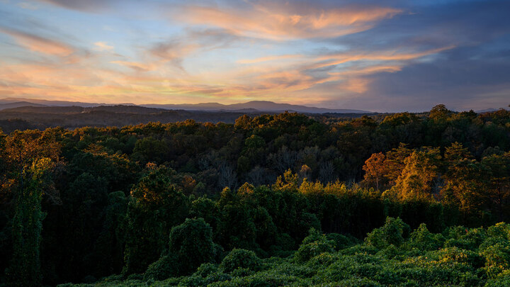 The Springs Retreat -Toccoa, GA logo