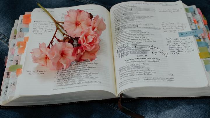 Precept Inductive Bible Study - Evenings logo image