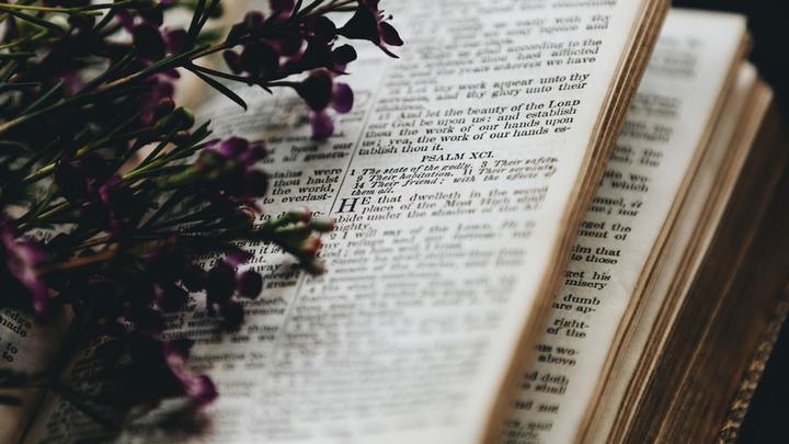 Women in the Word logo image