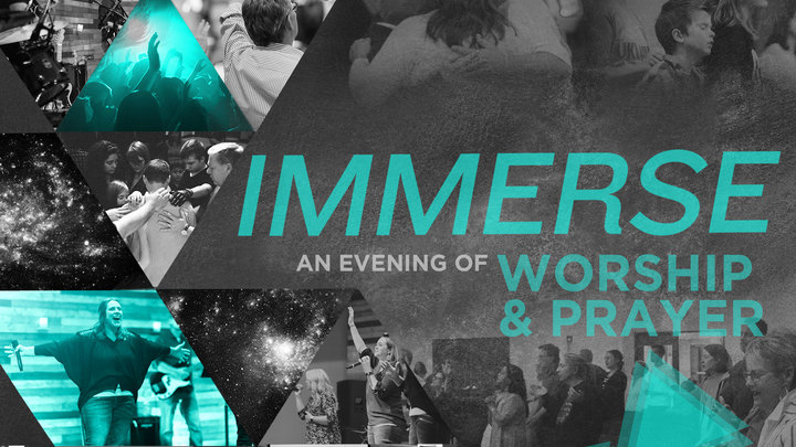 Immerse logo image