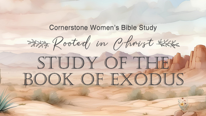 Women's Bible Study (2025-2026) logo