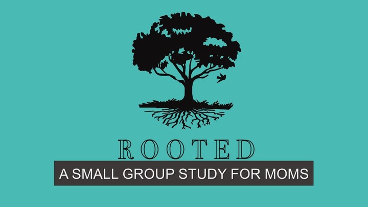 Rooted logo image